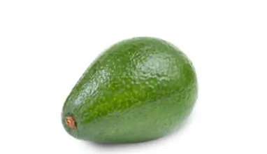 avocado3 (1)